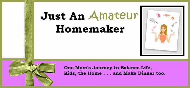 Just An Amateur Homemaker