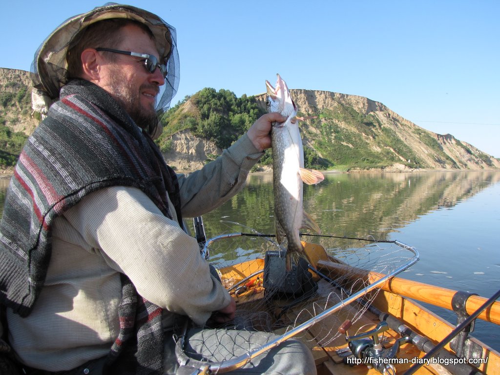 Завтра будет ловится рыба. Рыбалка клюет. Рыба будет клевать. Какая рыба клюет в ноябре. Завтра будет ловится рыба.