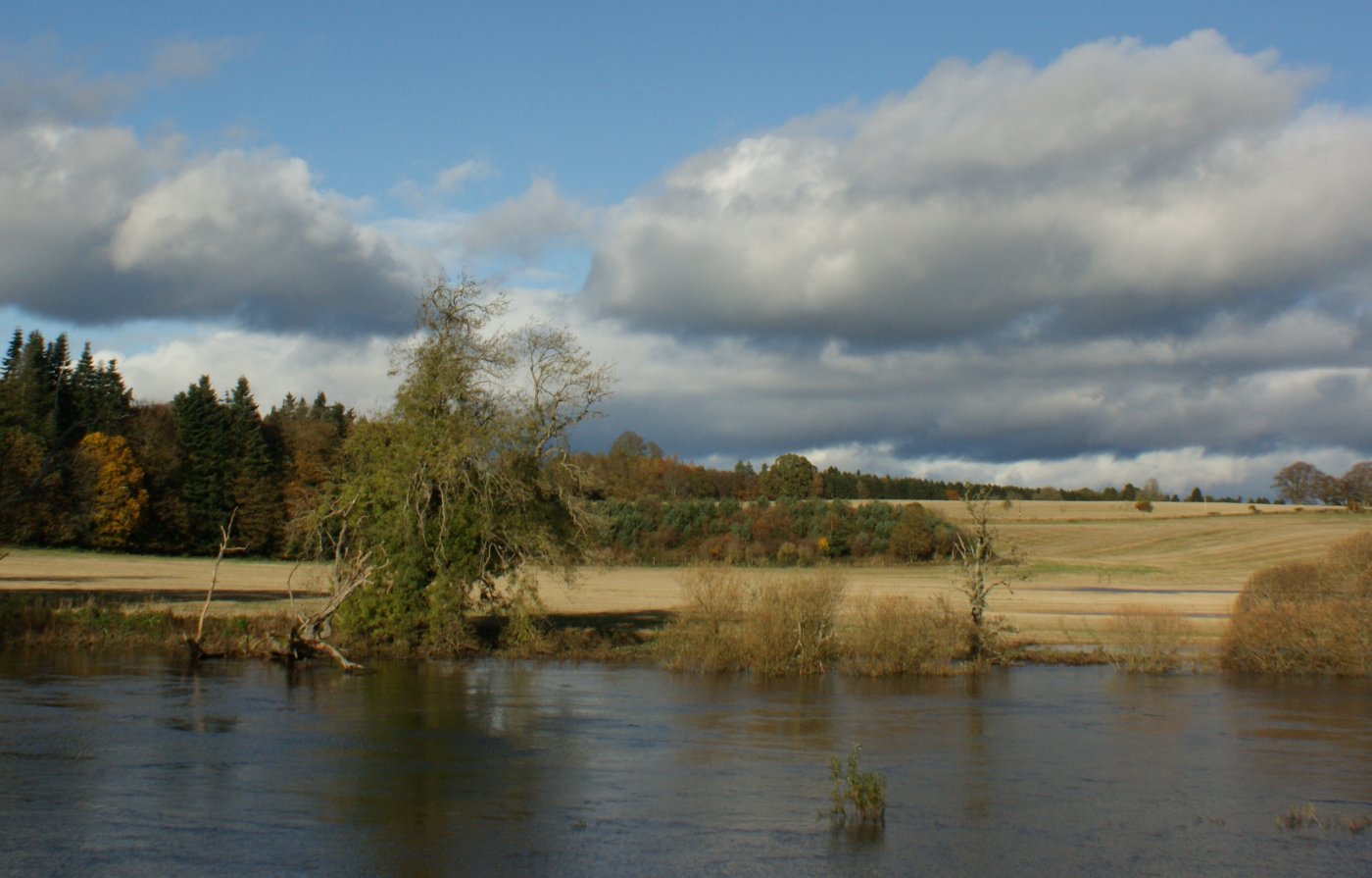 [November+2nd+Photograph+Flooded+Trees+Scotland+03.jpg]