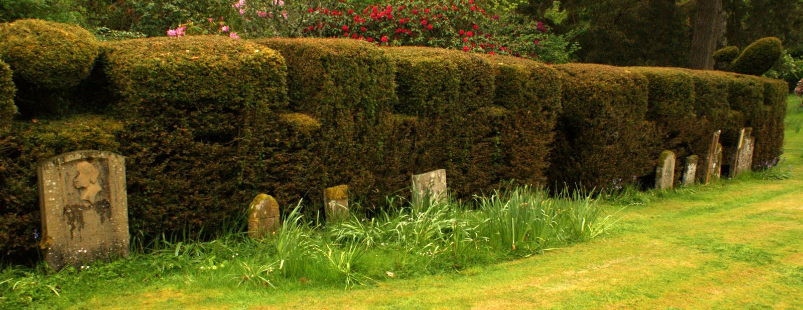 Tour Scotland May 30th Photograph Pet Cemetery Scotland