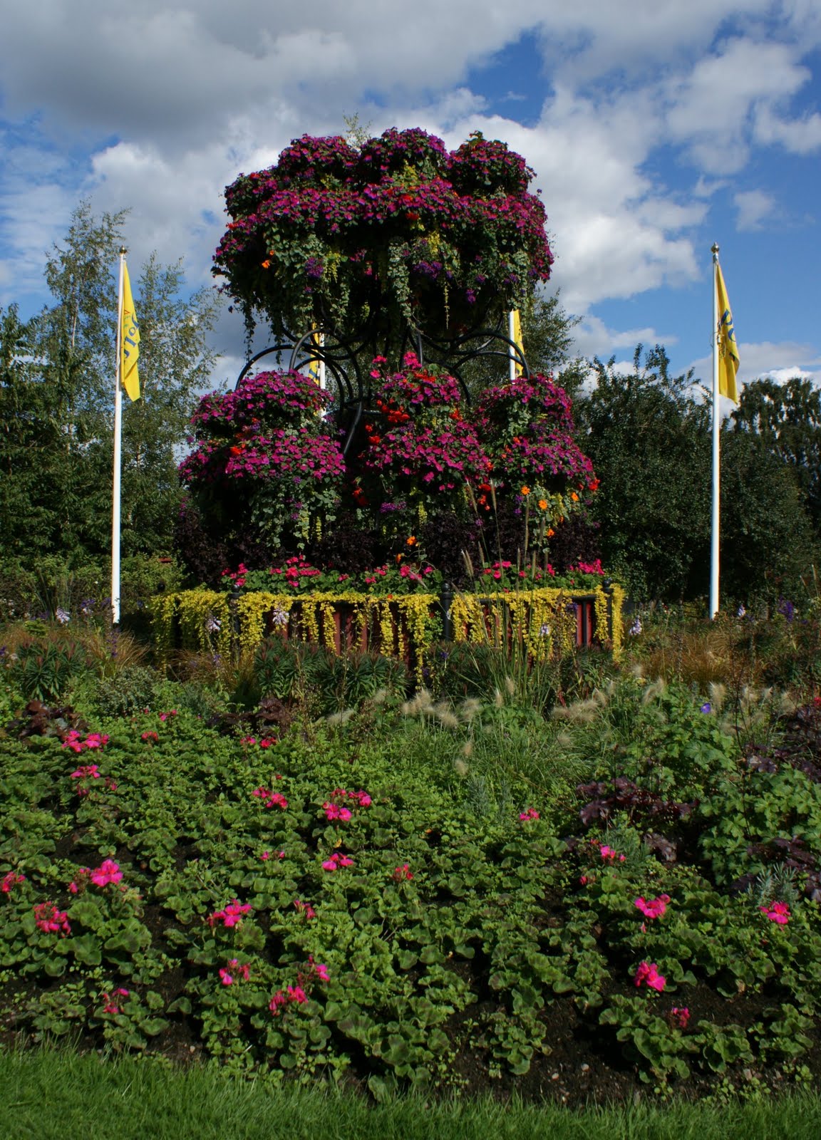 Tour Scotland August 27th Photograph Flowers Scotland