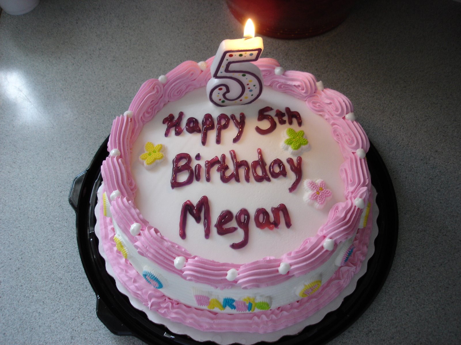 [Megan's+5th+birthday+006.jpg]