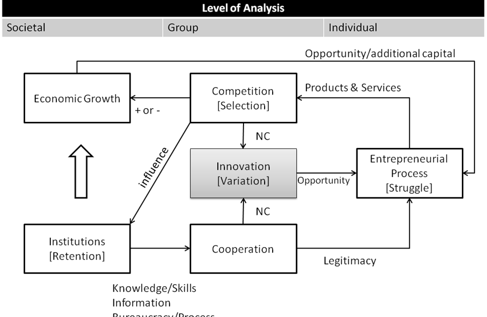 Technology Strategy: Towards a theory of economic growth