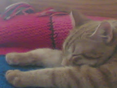 my sweet ferdinand :)