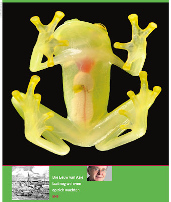 Nowheretostay Juni 2009