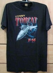 3D F-14 Tomcat