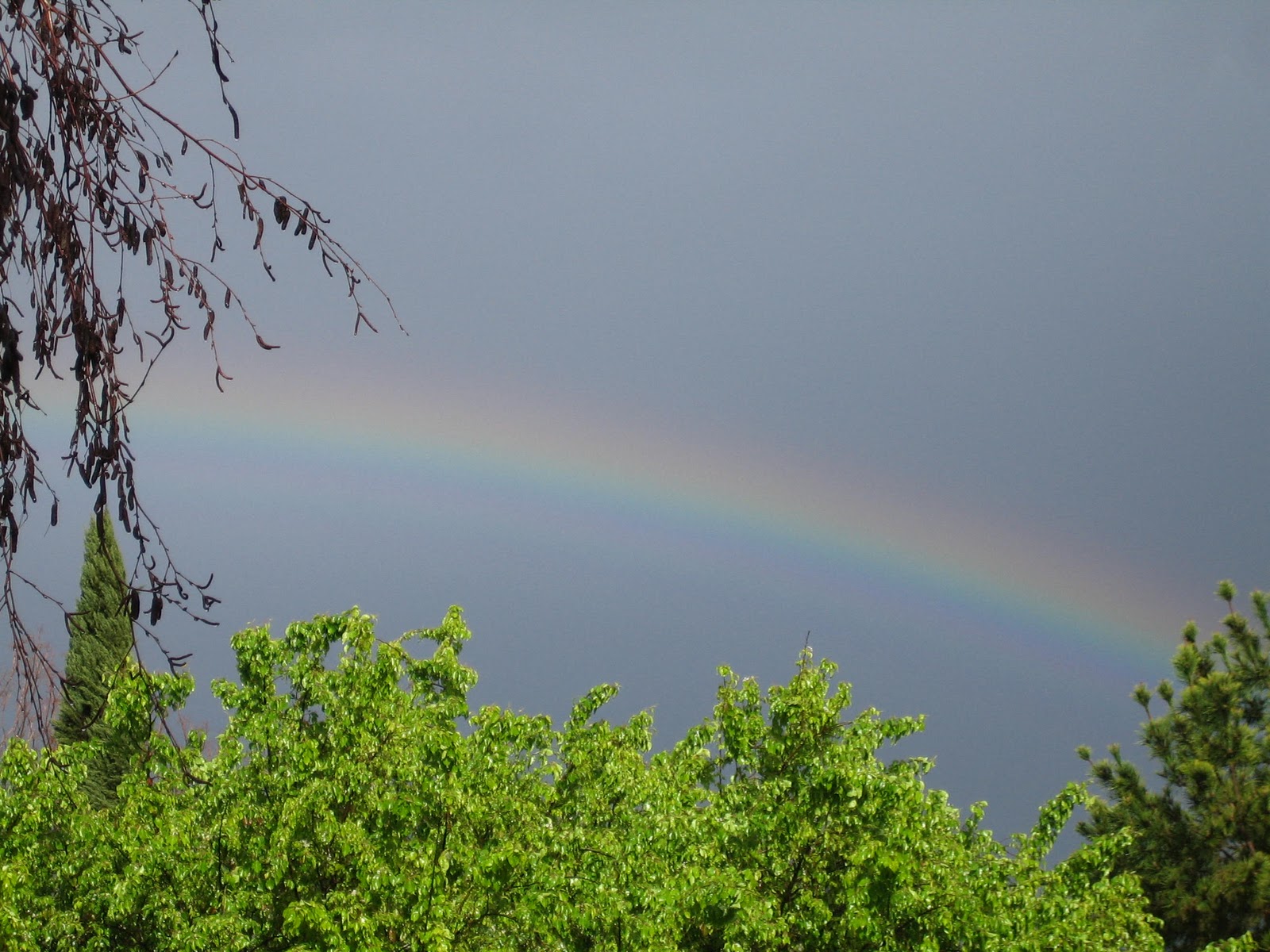 [Challee and Ryan visit 2.4.10 116.jpg]