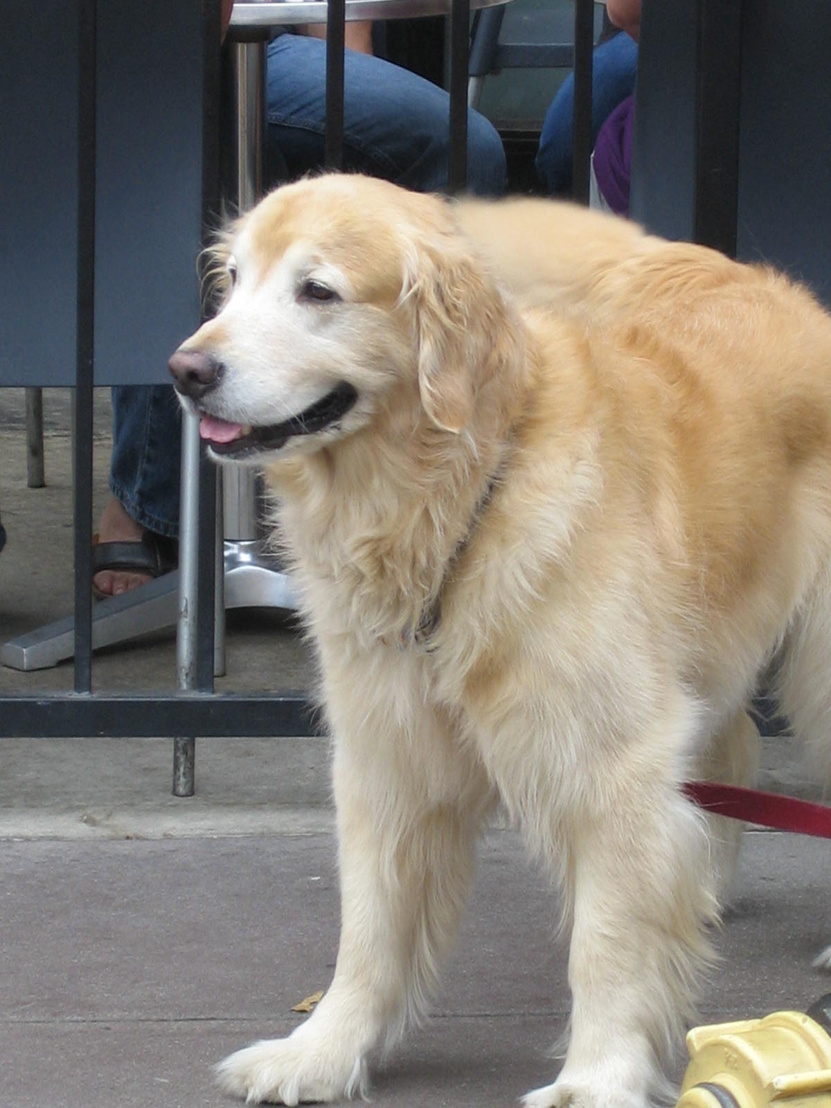 [Early+Brodersons+013.jpg]