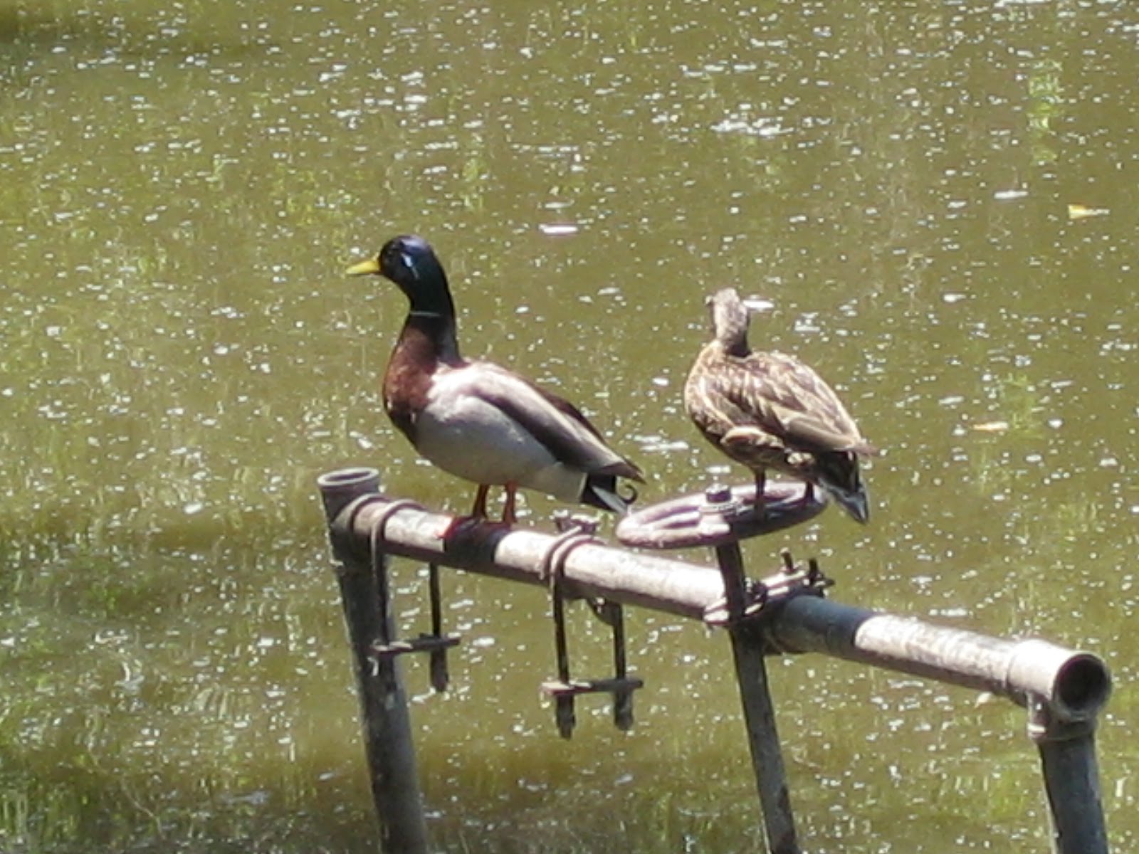 [jens+wedding+029.jpg]