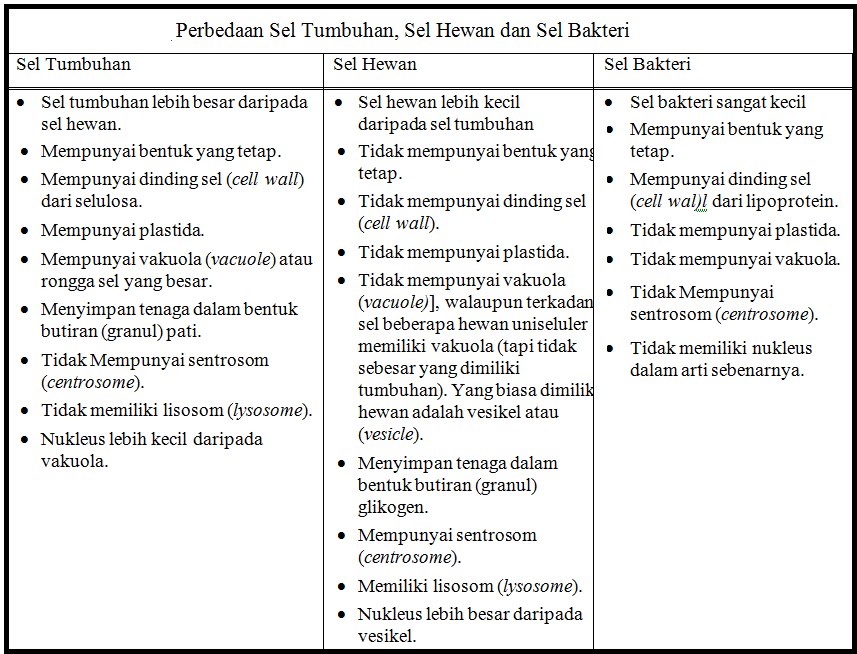 Perbedaan Struktur Sel Prokariotik Dengan Eukariotik