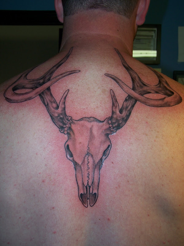 Deer skull tattoo title=