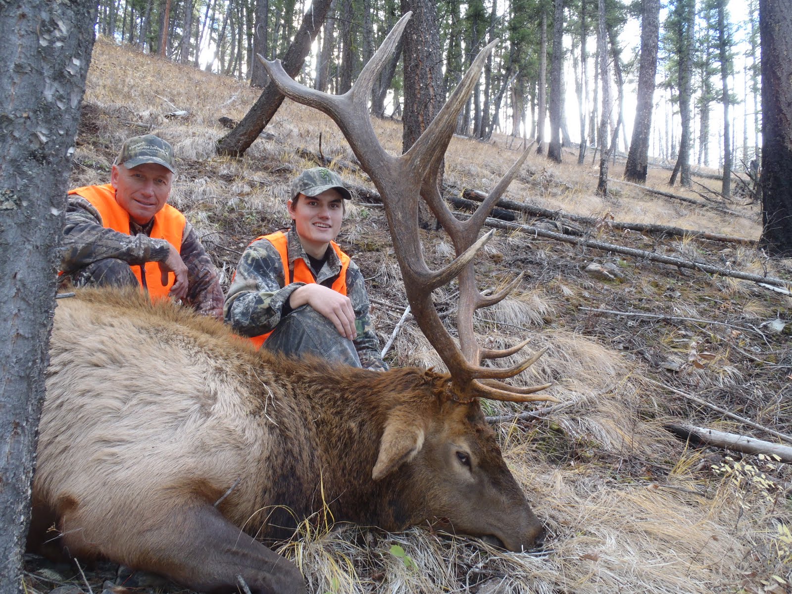 montana-outfitter-journal-montana-elk-hunt-for-gradutaion