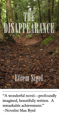 [DisappearCover.jpg]