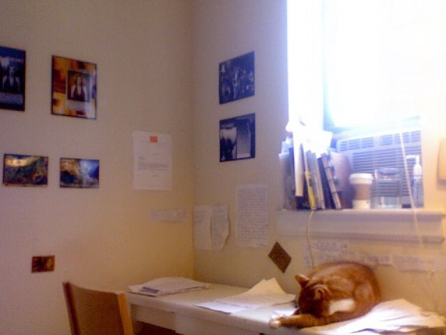 [EmilyStJMandelOffice2.jpg]