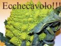 Ricette Cavolose per Antonella