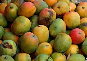 Kumpulan Budidaya: Budidaya Mangga