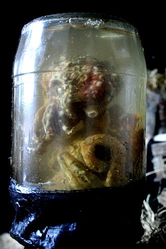 [2929481914_f1032670c7.jpg]