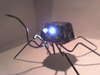 [spider.jpg]