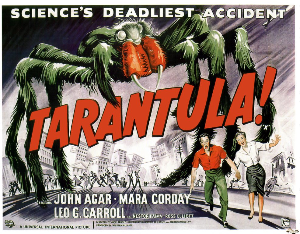 [tarantula2.jpg]