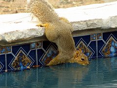 [2188837324_91e0279fe6_m.jpg]