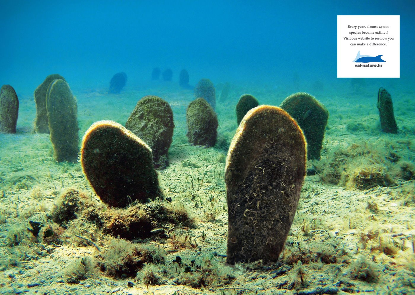 [underwater-grave_0.jpg]