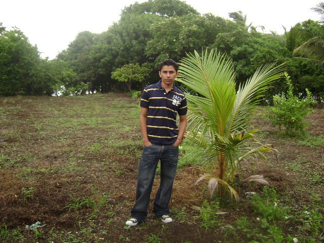DIXON MORALES