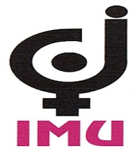 IMU