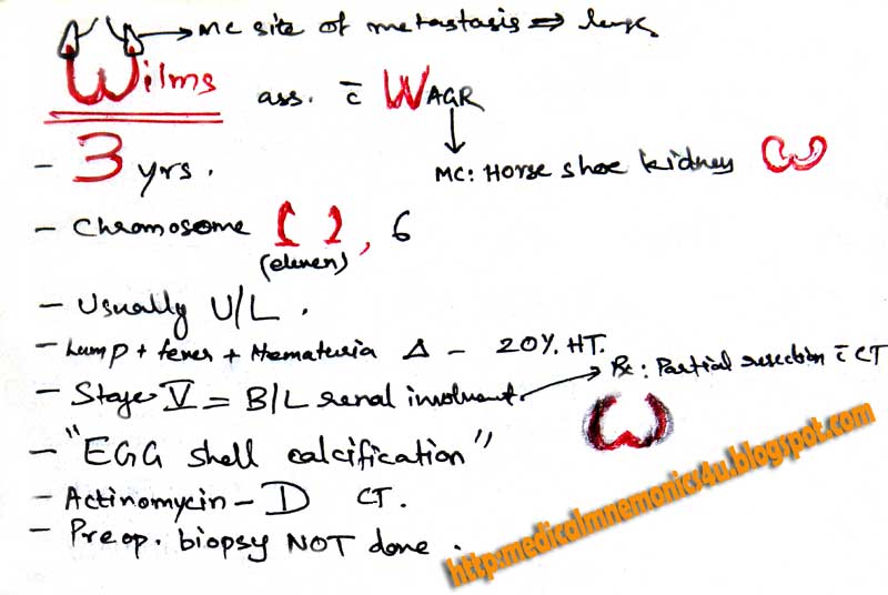 Medical Mnemonics 4U: Memory and Study aids for Medical Students