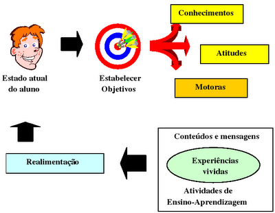 Qual a importância da teoria do currículo? Qual a importância da teoria do currículo?