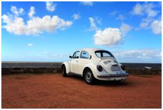 [punchbuggy.jpg]