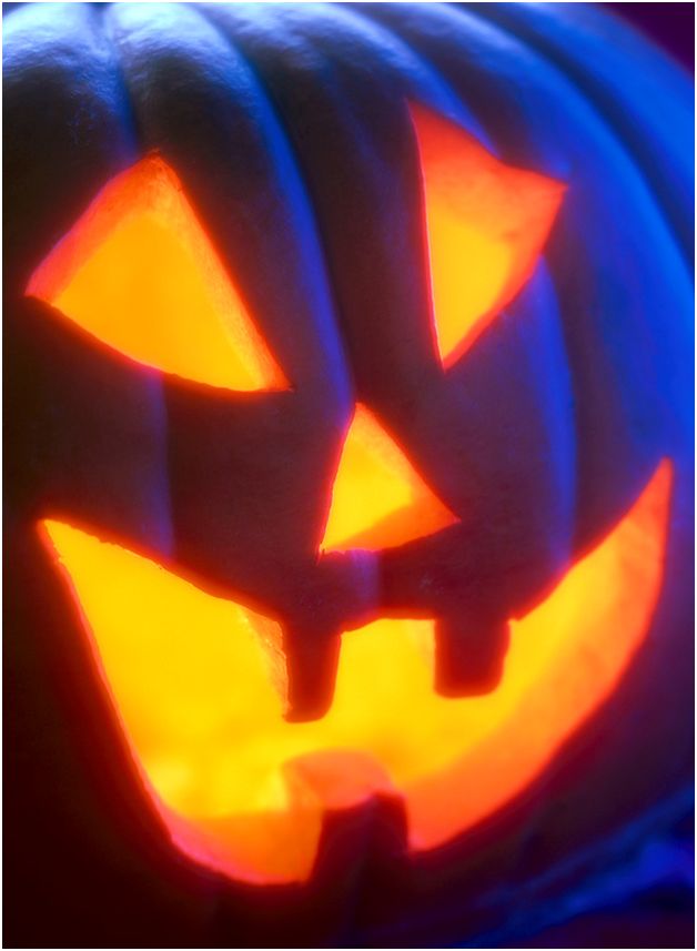 [jackolantern.jpg]