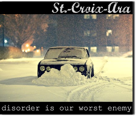 Was wäre wenn ... Aktion : Blogge dein eigenes Album! Hier kommt St.-Croix-Ara mit  dem Debutalbum "disorder is our worst enemy"