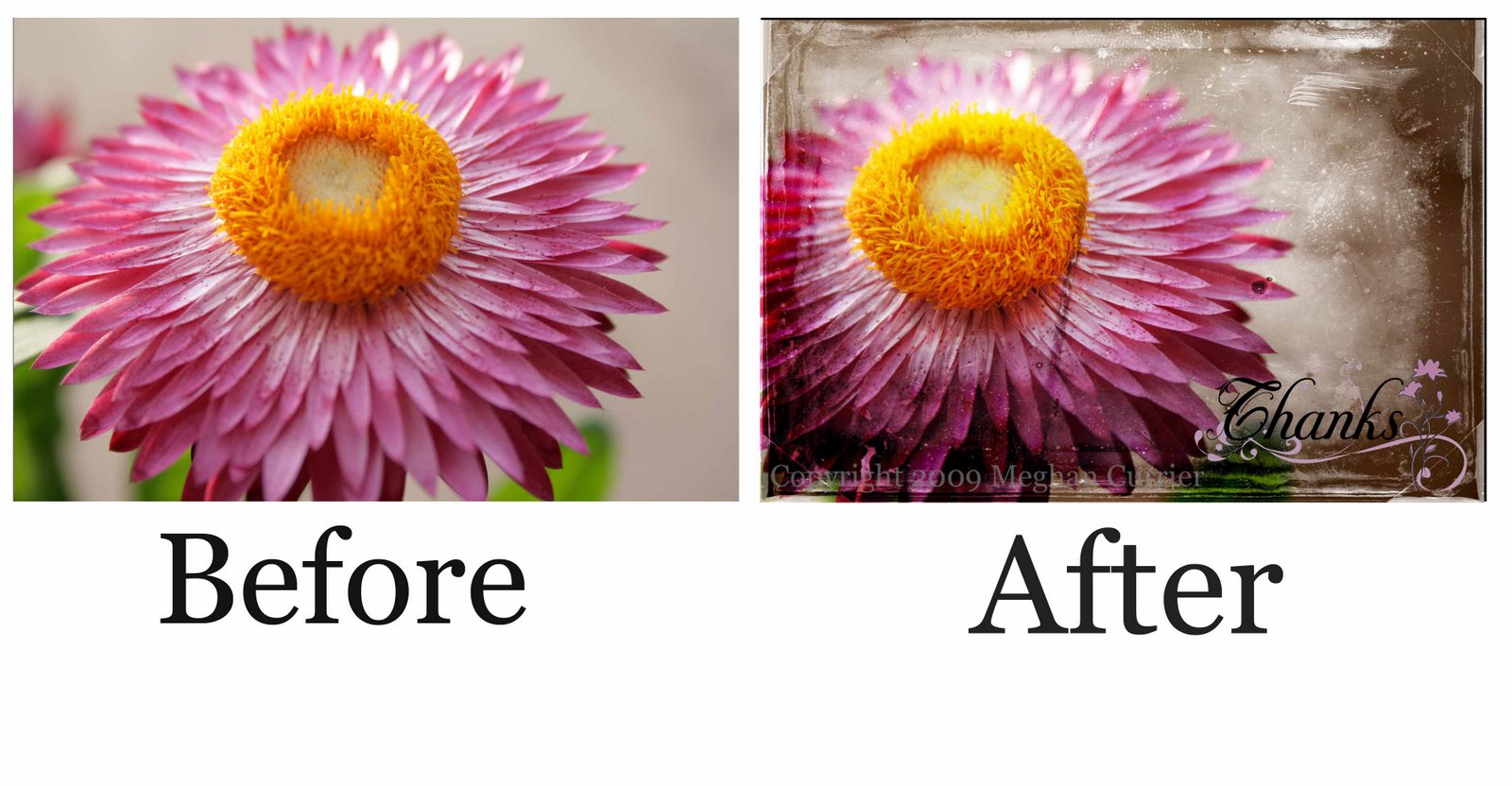 [Before+After+1_edited-1.jpg]