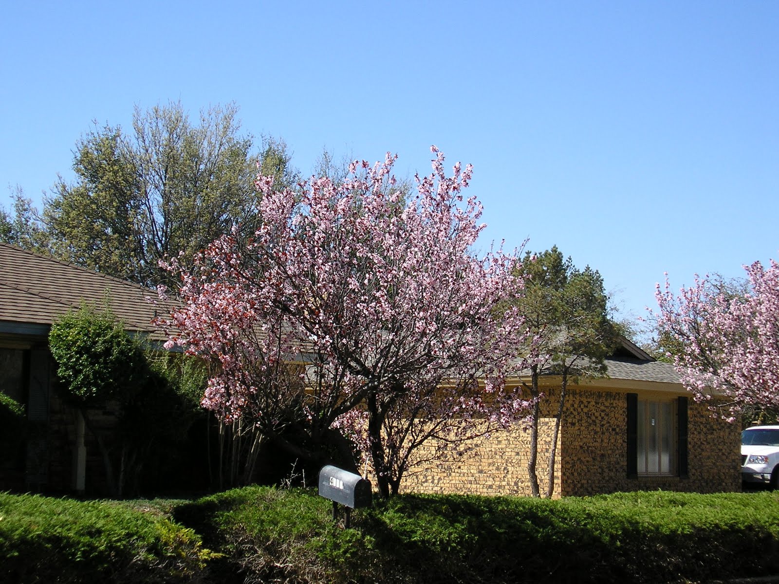 Lubbock TX Buyers, Sellers and Homeowners