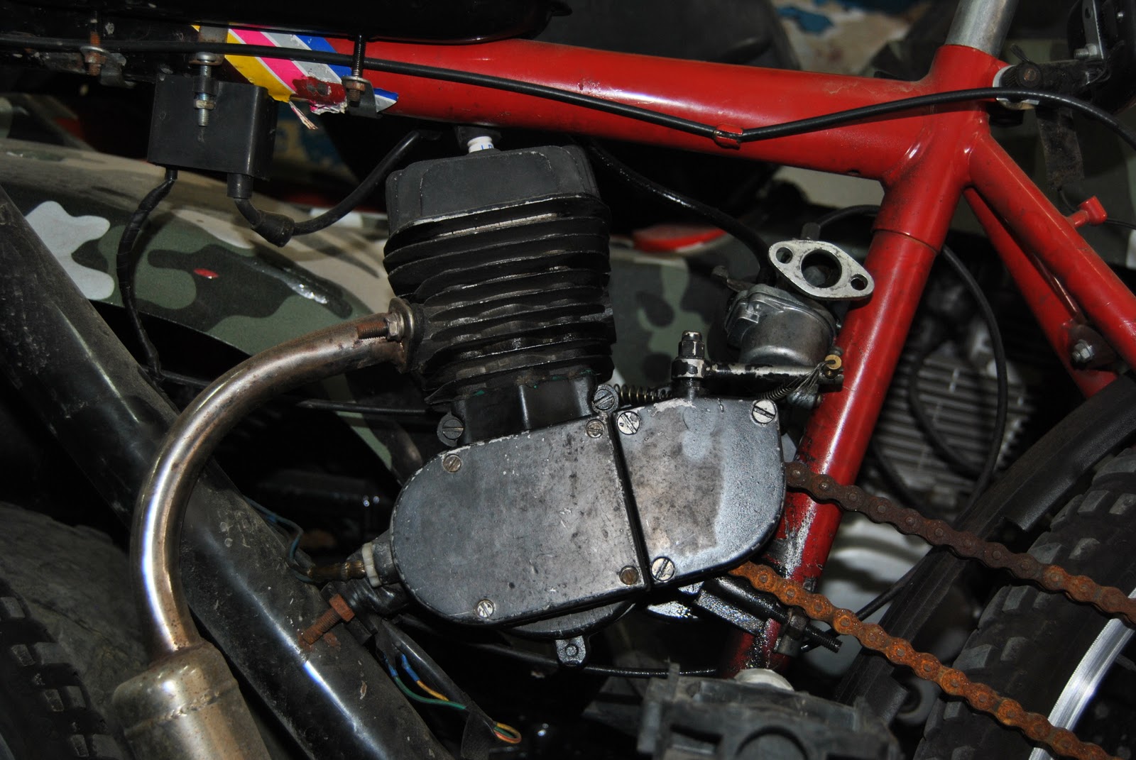 PANAMERICANA KTM UND FISCHGEDÄRME / KTM AND FISHINTESTINE