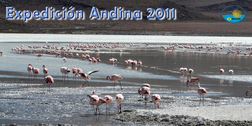 Expedición Andina 2011 Las Salinas grandes
