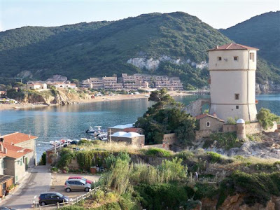 Papavero Di Campo Isola Del Giglio Campese Torre Medicea Del Campese papavero-di-campo-isola-del-giglio-campese-torre-medicea-del-campese