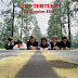 .The Turtles - 20 Greatest Hits