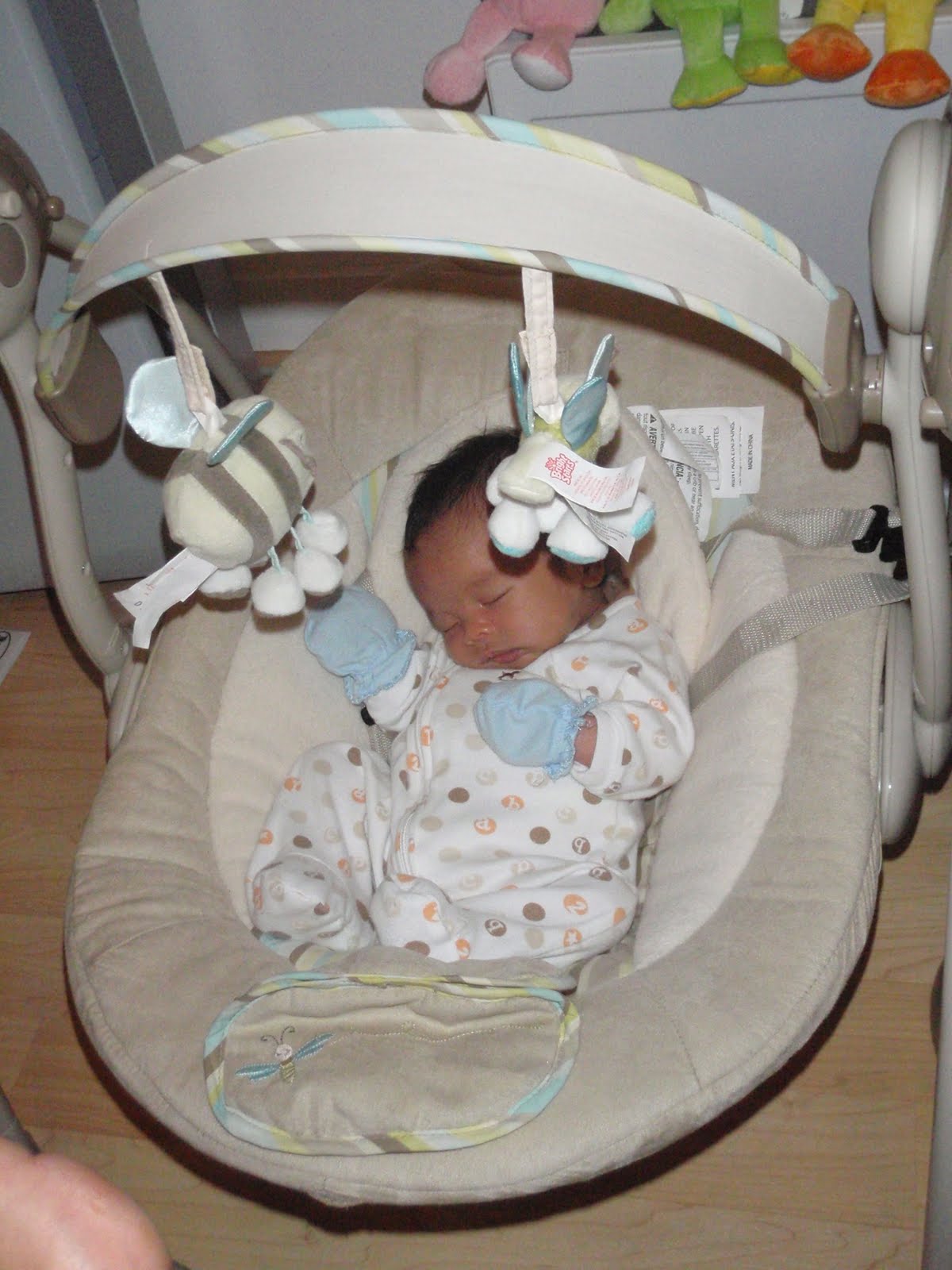 A Maui Mommy Baby Furniture