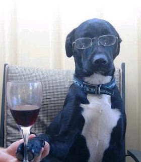 Animals+with+Drinking+Problems4.JPG