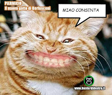mi consentaaaaa,,,,,,,