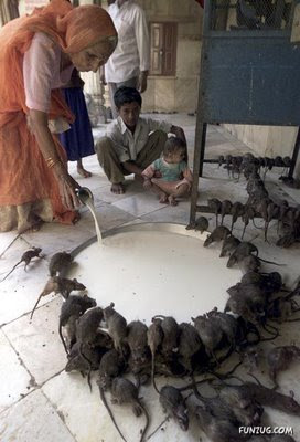 aohaiday.com - Only in...