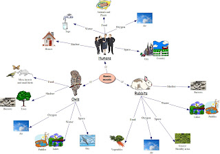 Ed 3508 Blog: Basic Needs of Humans and Animals