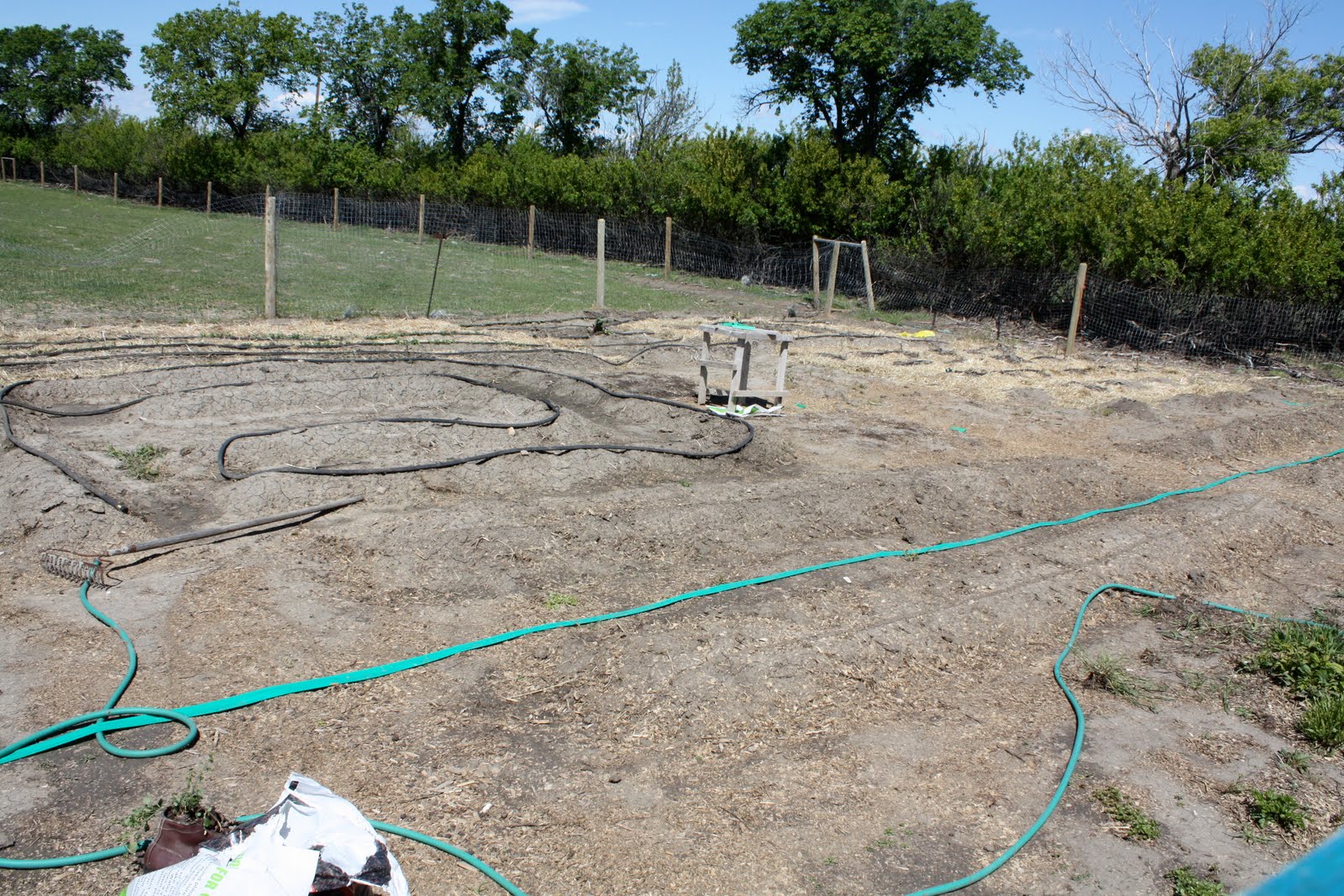 WOOLLY TALES...: June 2010