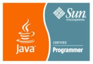 Sun Certified Java Programmer 5.0