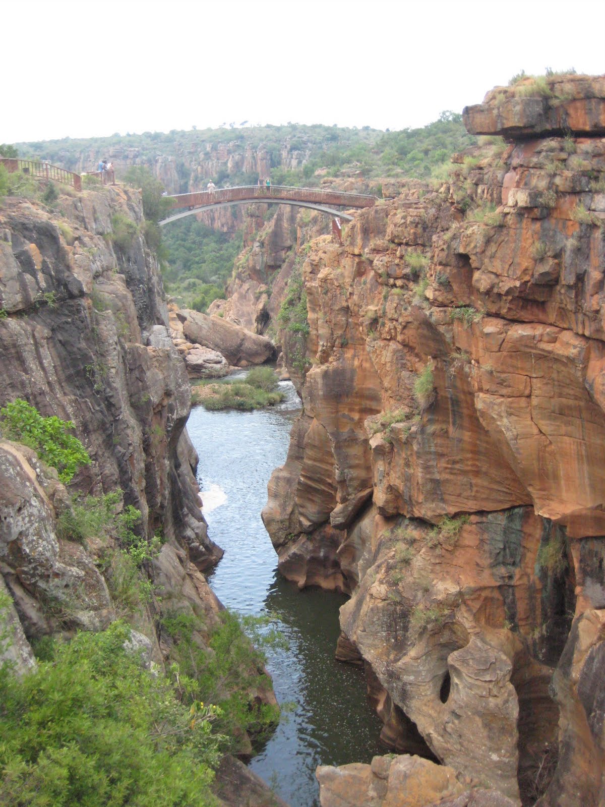 Jess Travels The World: The stars are so beautiful in Bushbuckridge!