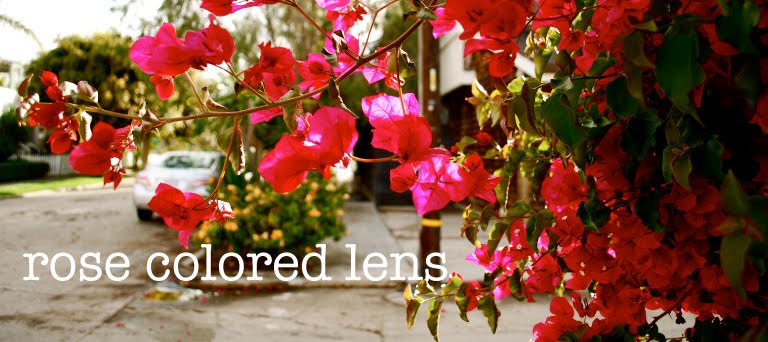 rose colored lens