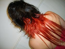 CORTE EXTENSIONES.