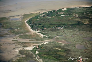 vue aérienne de l'ile aux oiseaux sur le bassin d'arcachon