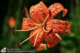 Blog d geografia: noviembre 2008